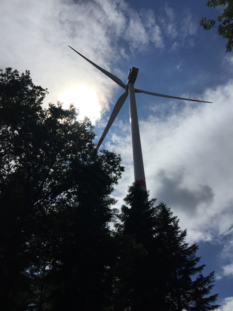 Windrad Windenergie Wald