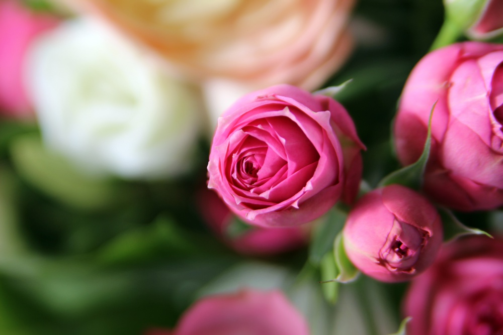 Wundersch&ouml;ner Blumenstrau&szlig;