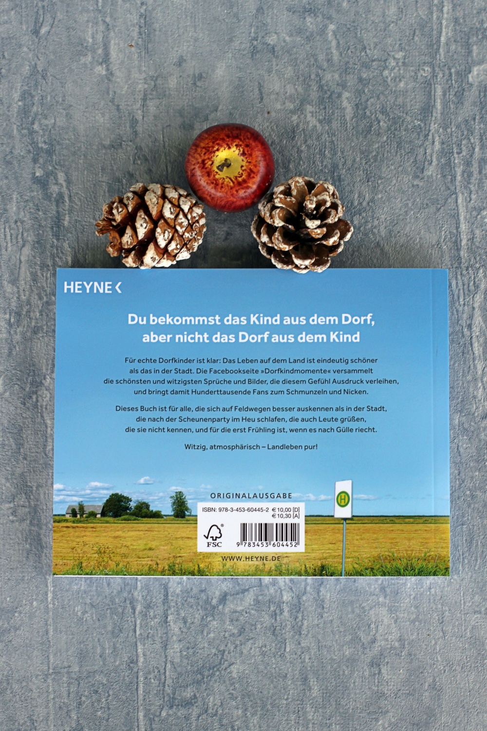 Rezension zu Hoffen dass der Schulbus nicht f&auml;hrt von Stefan Schade