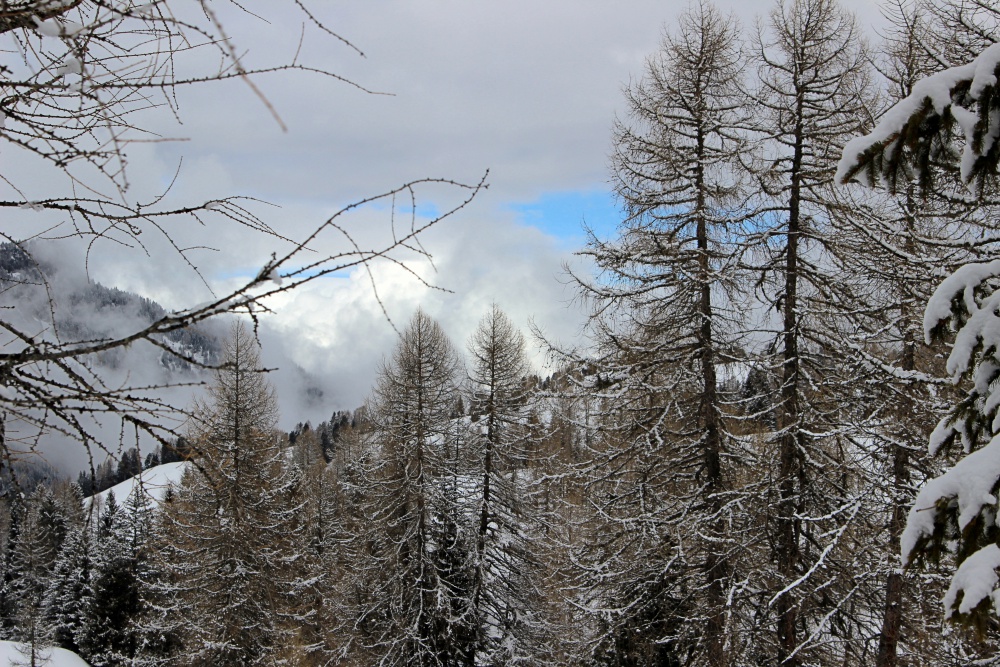 Seiser Alm im Winter