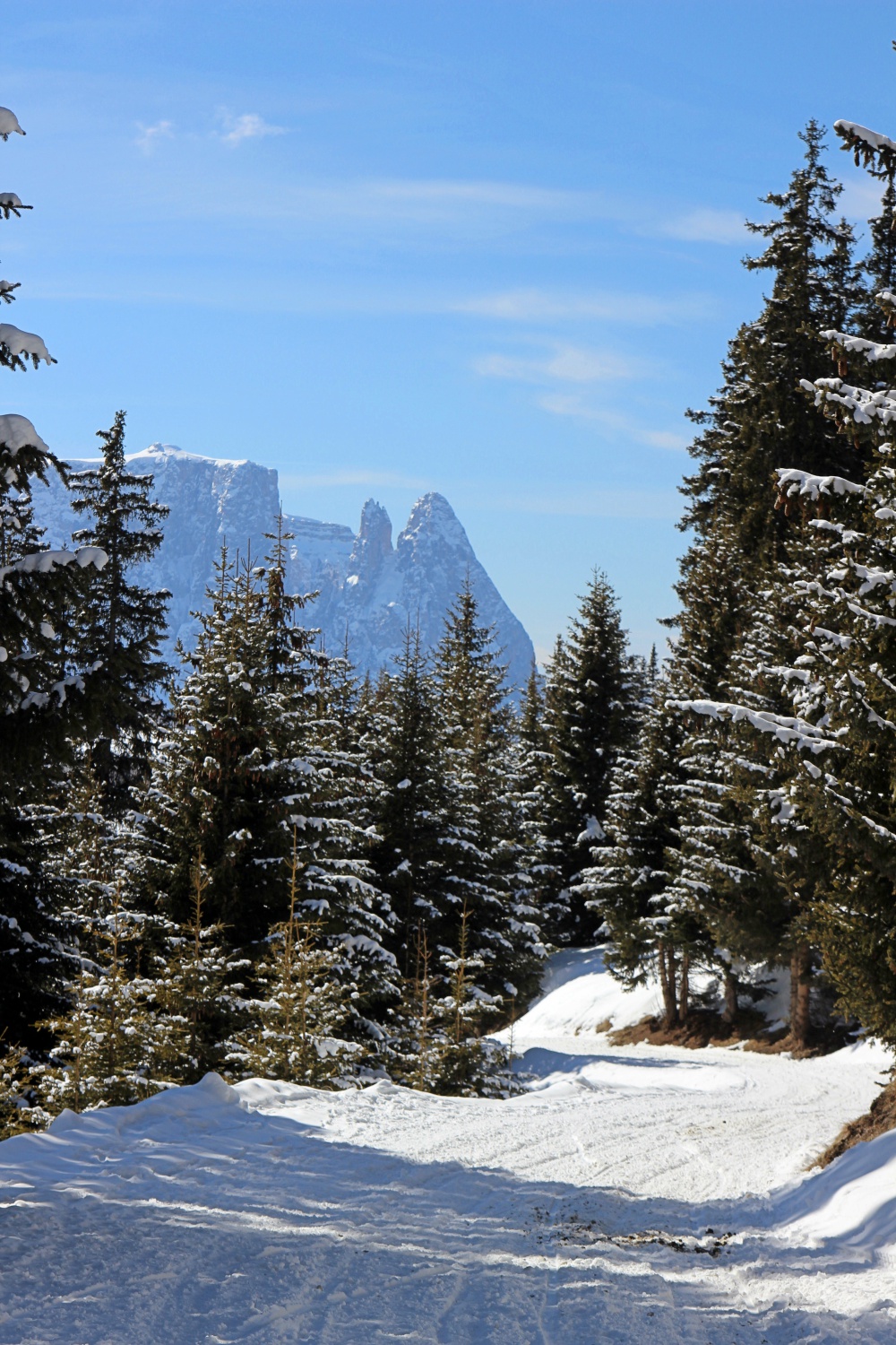 Gr&ouml;dner Tal St. Ulrich Mont Seuc
