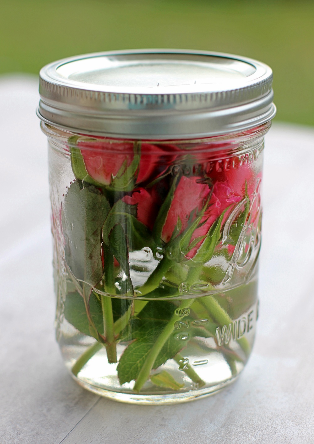 Rosen im Glas