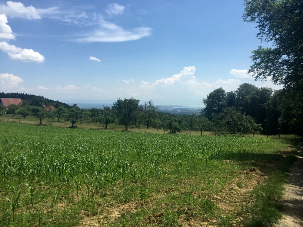 Wanderung von Friedrichshafen auf den Höchsten