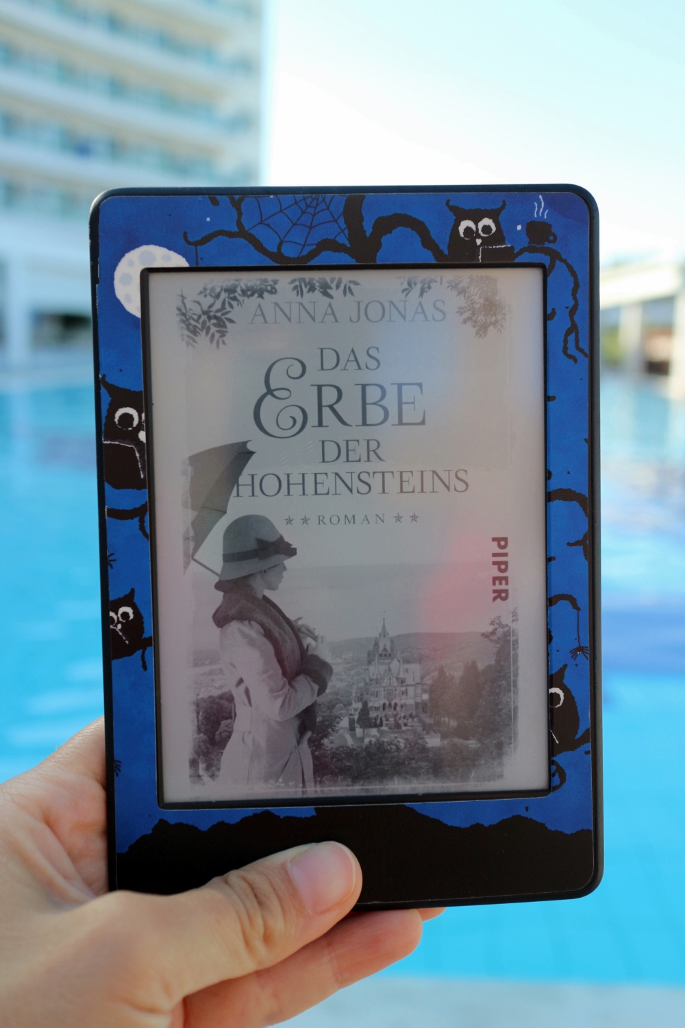 Das Erbe der Hohensteins von Anna Jonas_Urlaubslekt&uuml;re