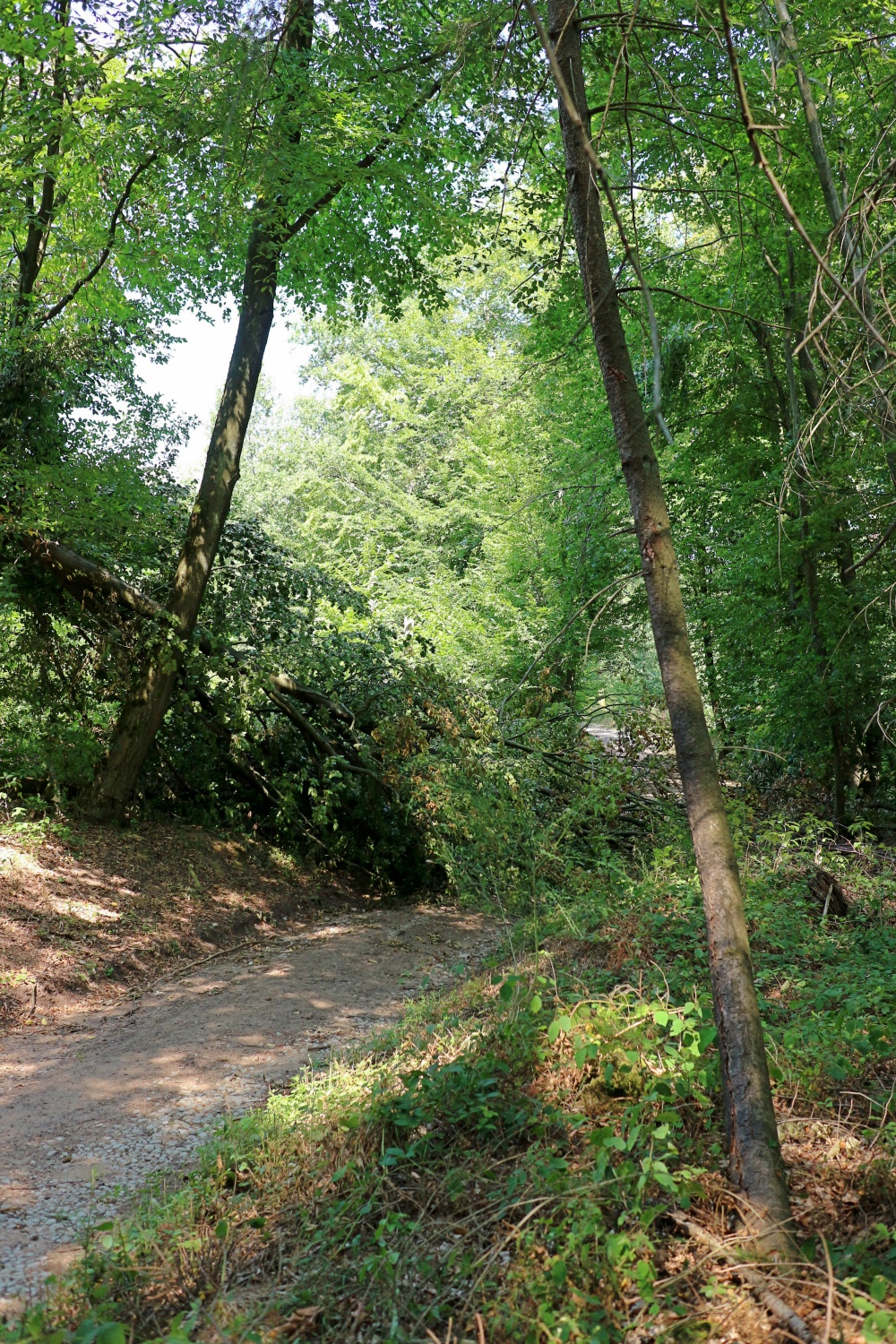 Wanderung im Saarland