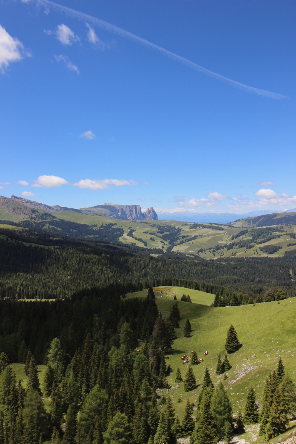 Schlern Seiser Alm Südtirol