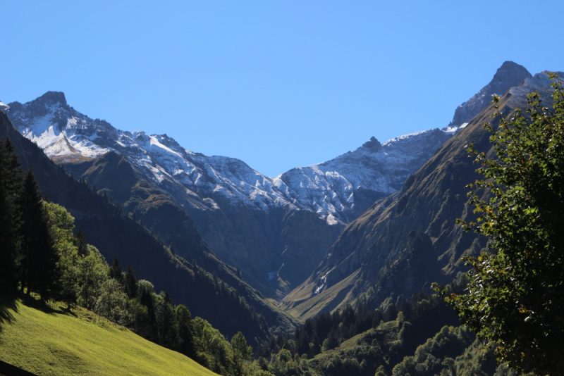 Sportsgeist 2018 Nebelhorn Trophy Ladies Short Program glimrende