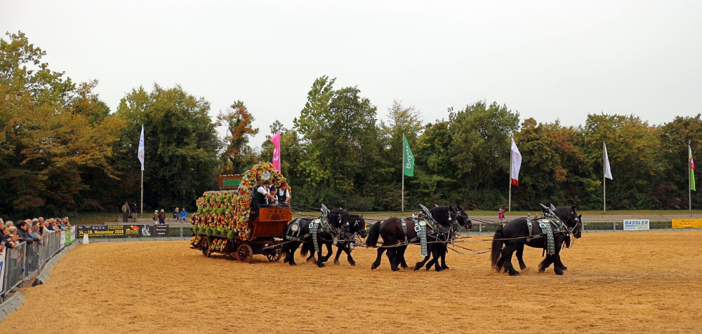 Landwirtschaftliches Hauptfest