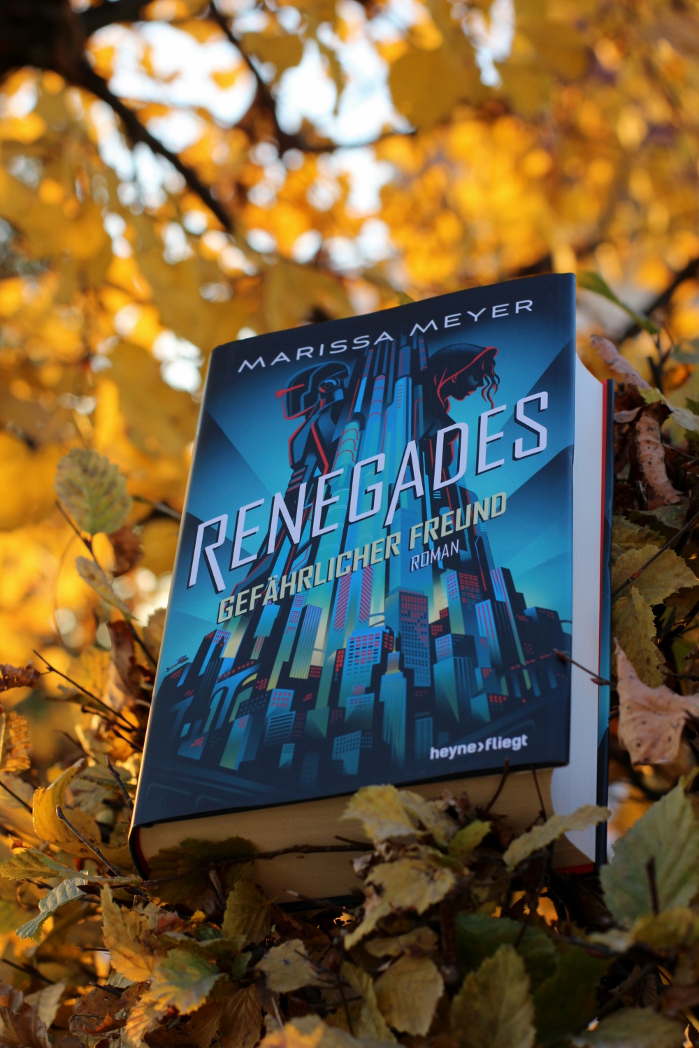 Renegades Gefährlicher Freund von Marissa Meyer