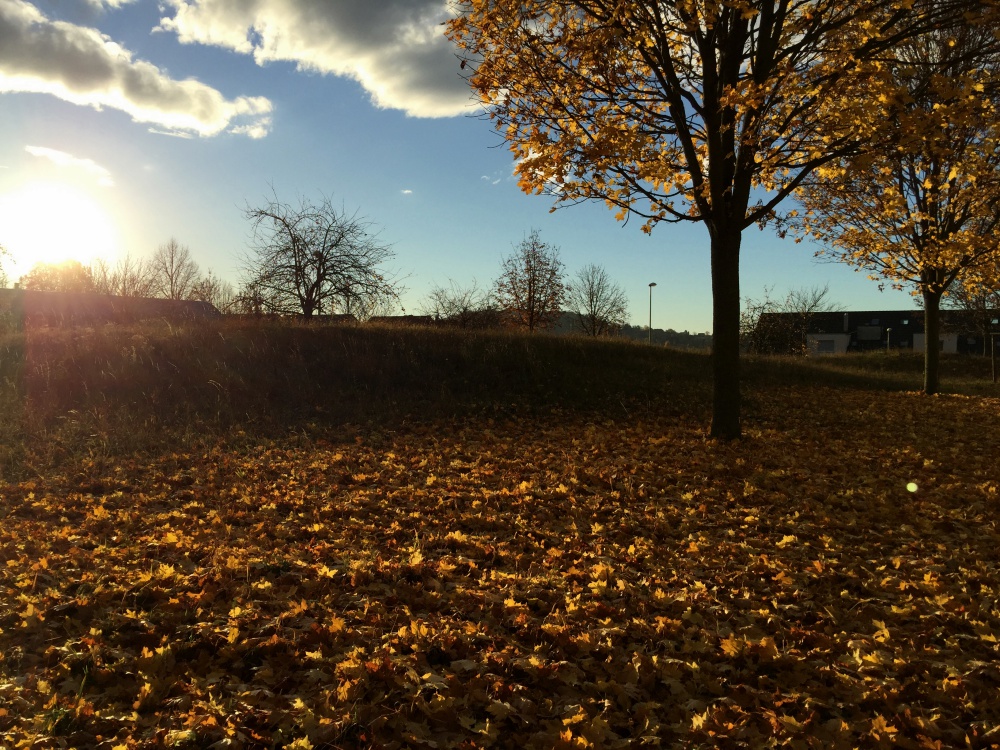 goldener Herbst