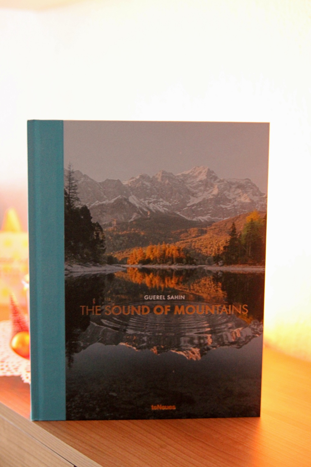BuchSaiten_Jahresr&uuml;ckblick 2018_Lesejahr 2018_The Sound of Mountains von Guerel Sahin