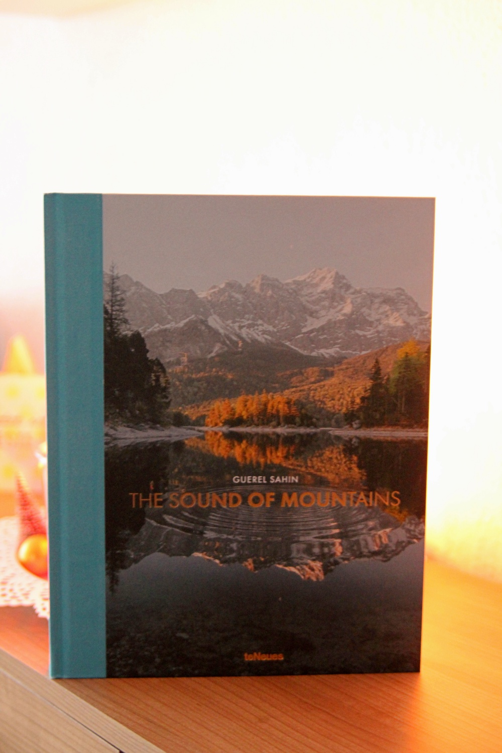 BuchSaiten_Jahresrückblick 2018_Lesejahr 2018_The Sound of Mountains von Guerel Sahin