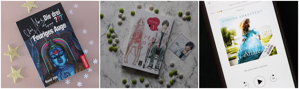 Lesemonat Januar 2019_Feuriges Auge_Eine unerh&ouml;rte Aff&auml;re_Perfect World 1