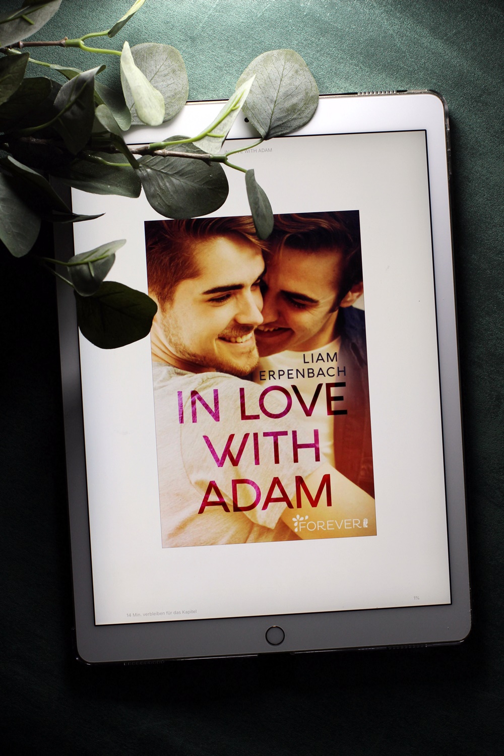 In Love with Adam Liam Erpenbach