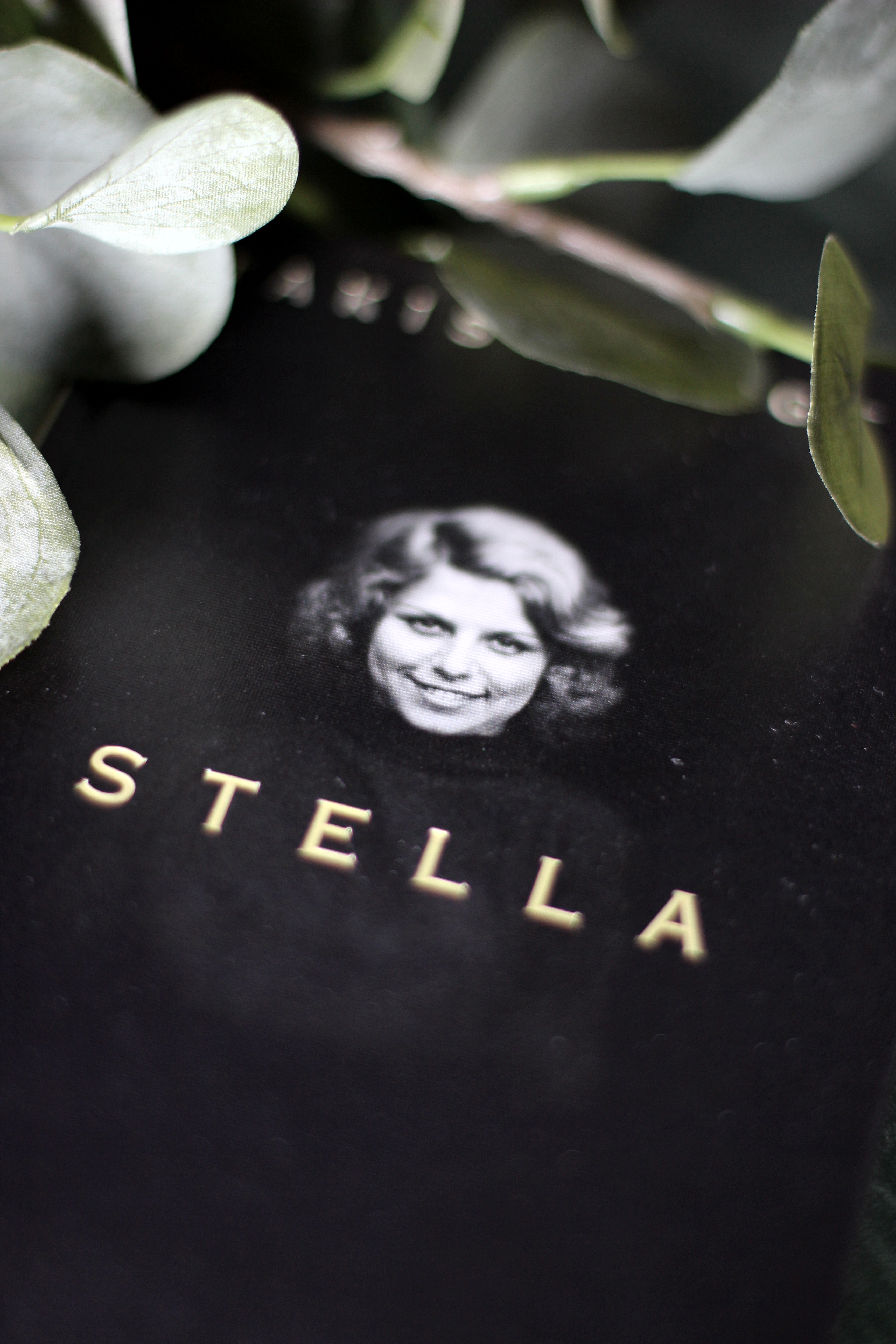 Rezension Stella von Takis W&uuml;rger