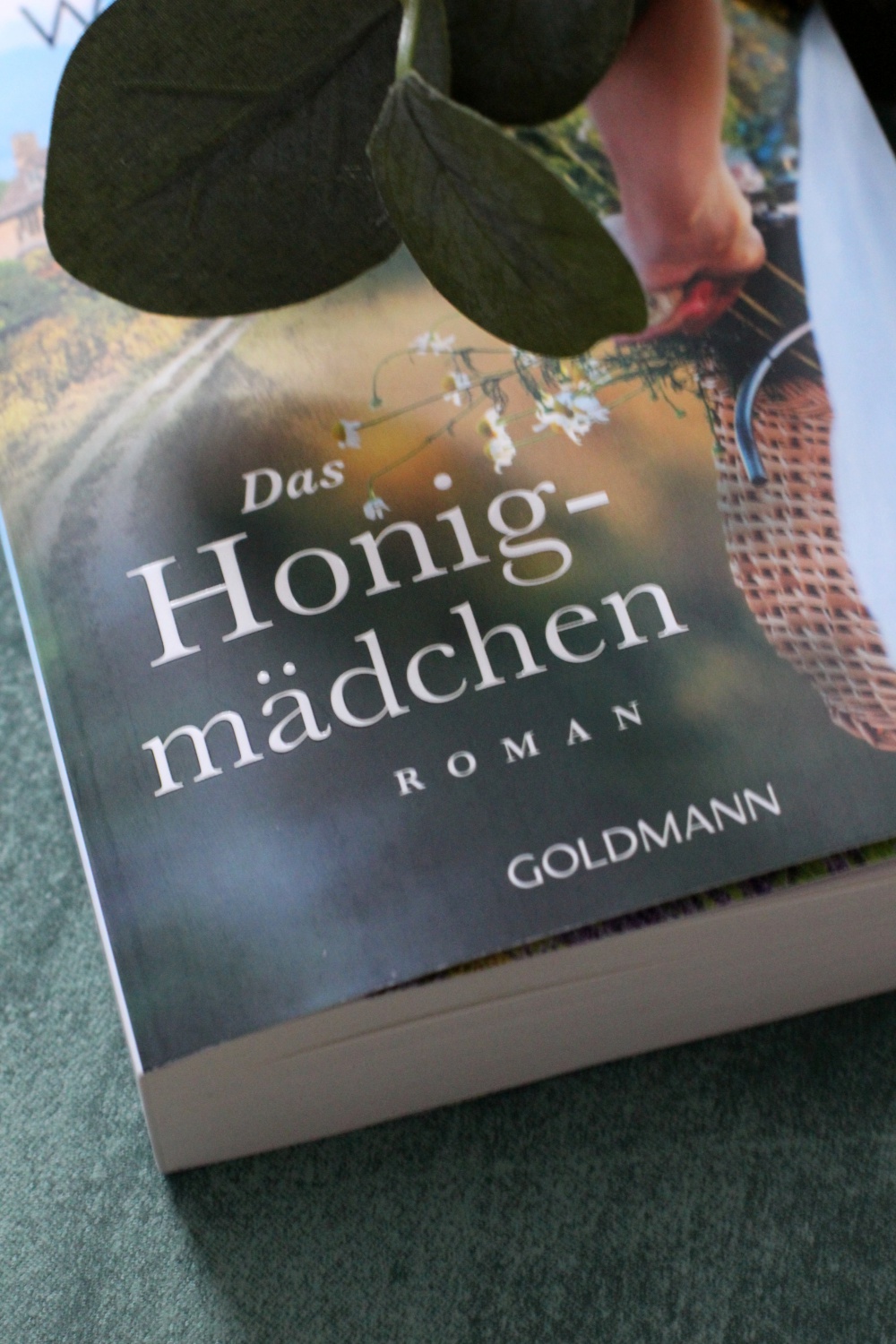 Rezension zu Das Honigmädchen von Claudia Winter