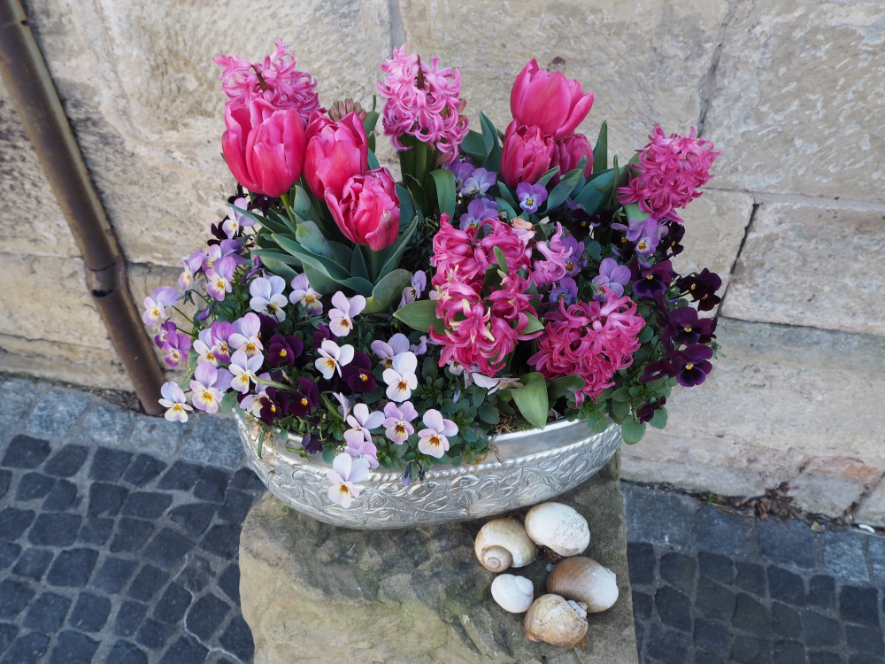 Fr&uuml;hlingsblumen