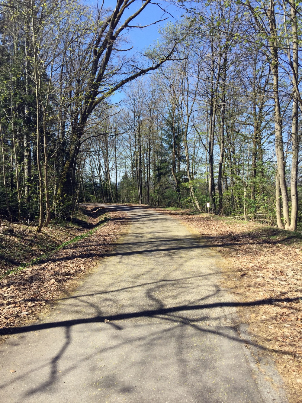 Ostermarsch