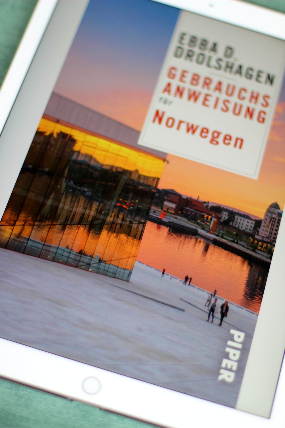 Rezension Gebrauchsanweisung f&uuml;r Norwegen