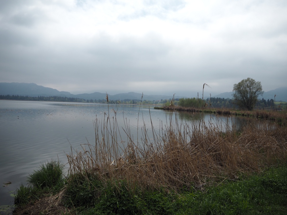 Hopfensee