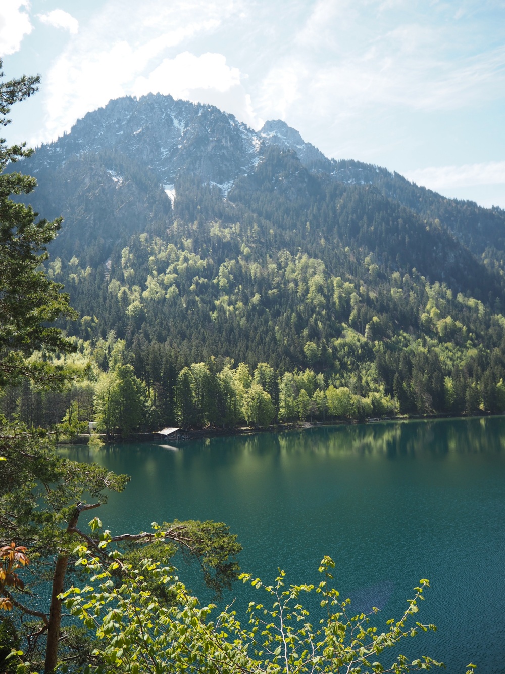 Alpsee
