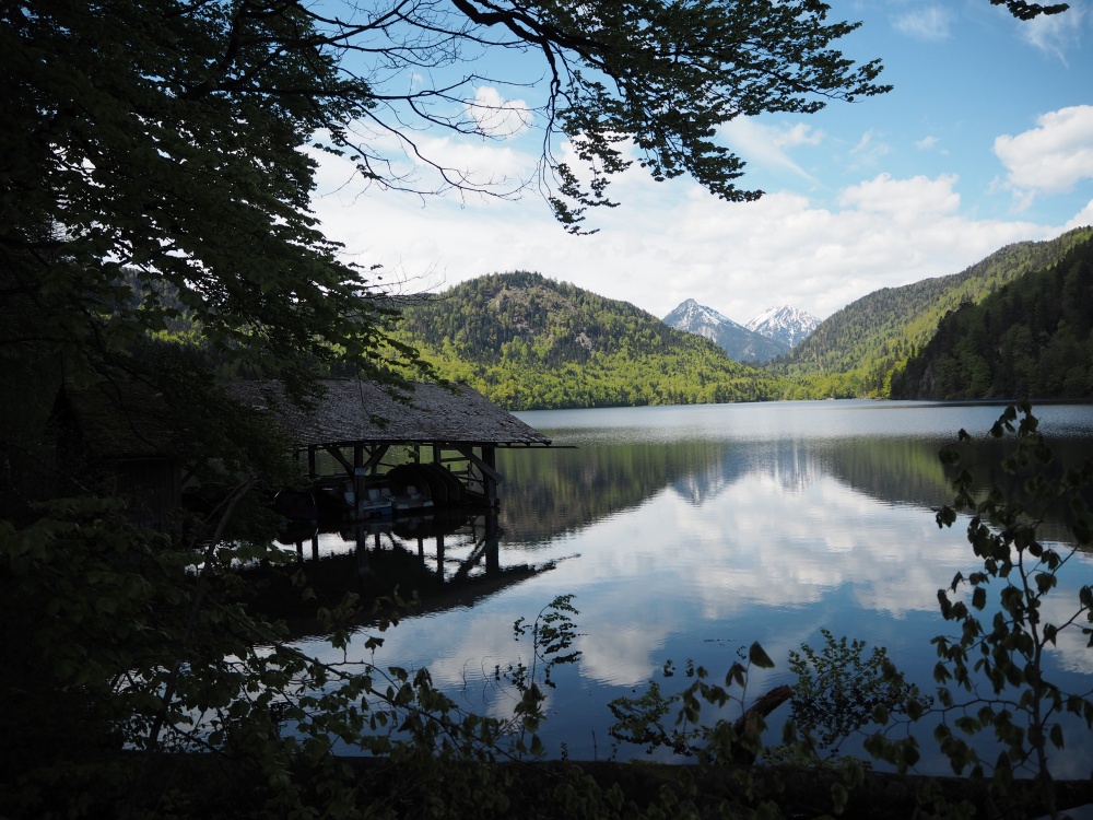 Alpsee