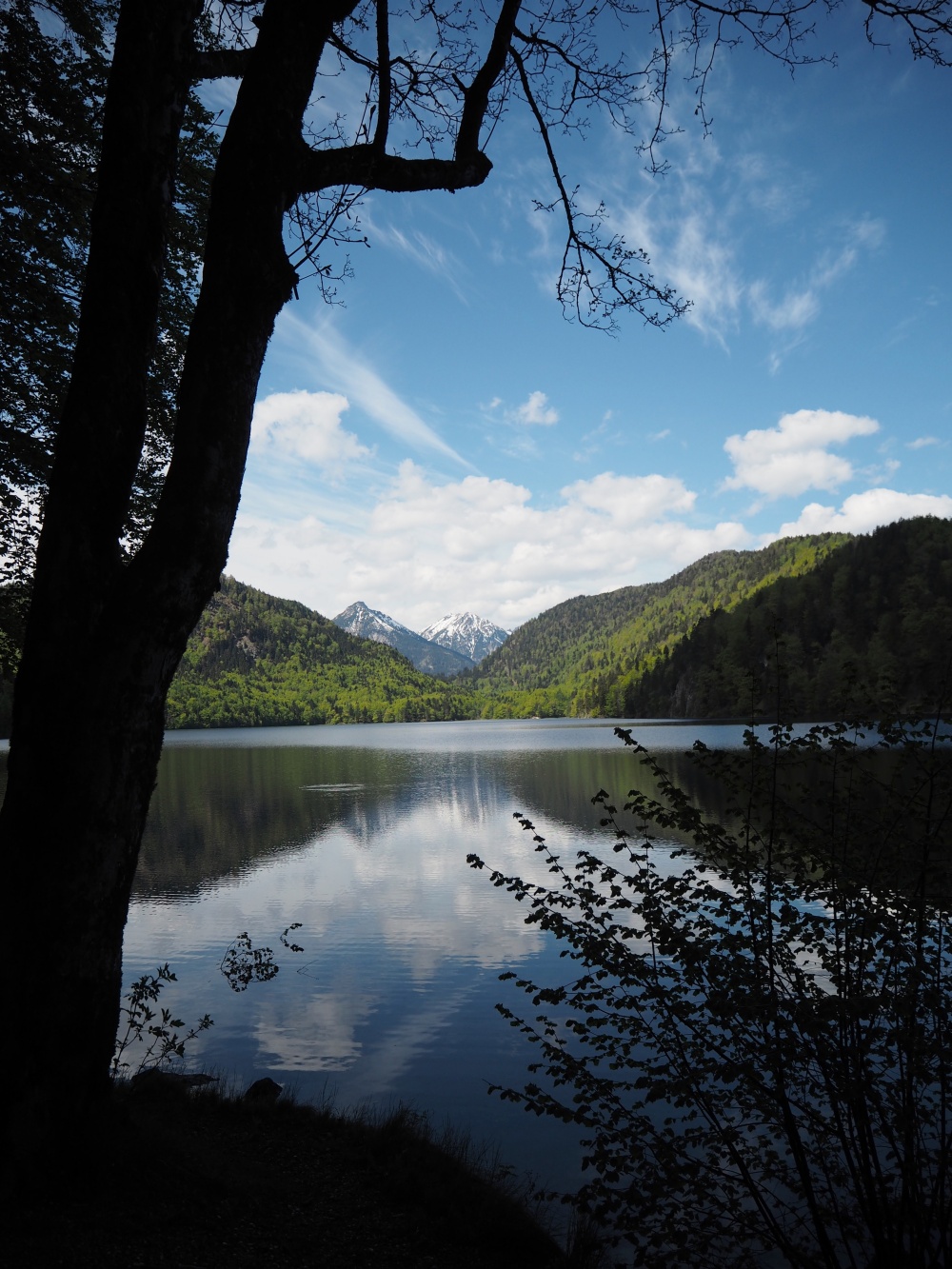 Alpsee