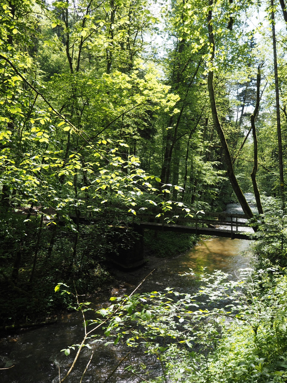Schwarzwald Feldbergsteig Drei-Schluchten-Wanderung