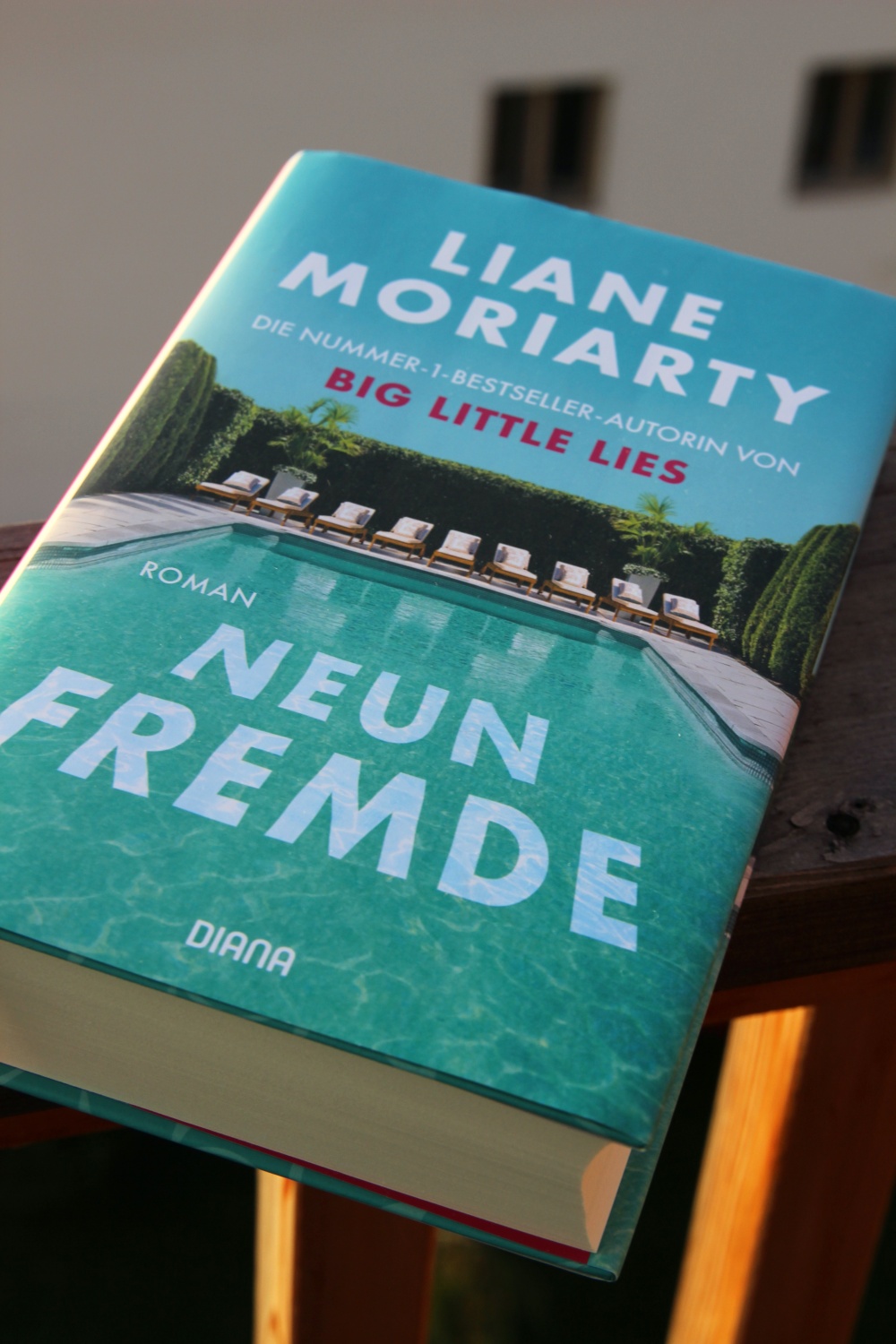 Neun Fremde von Liane Moriarty