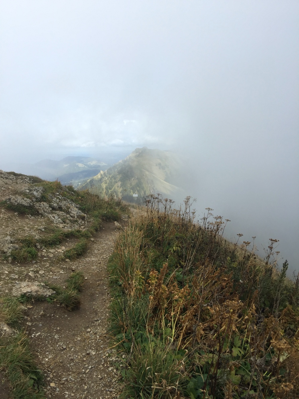 Hochgrat im Nebel