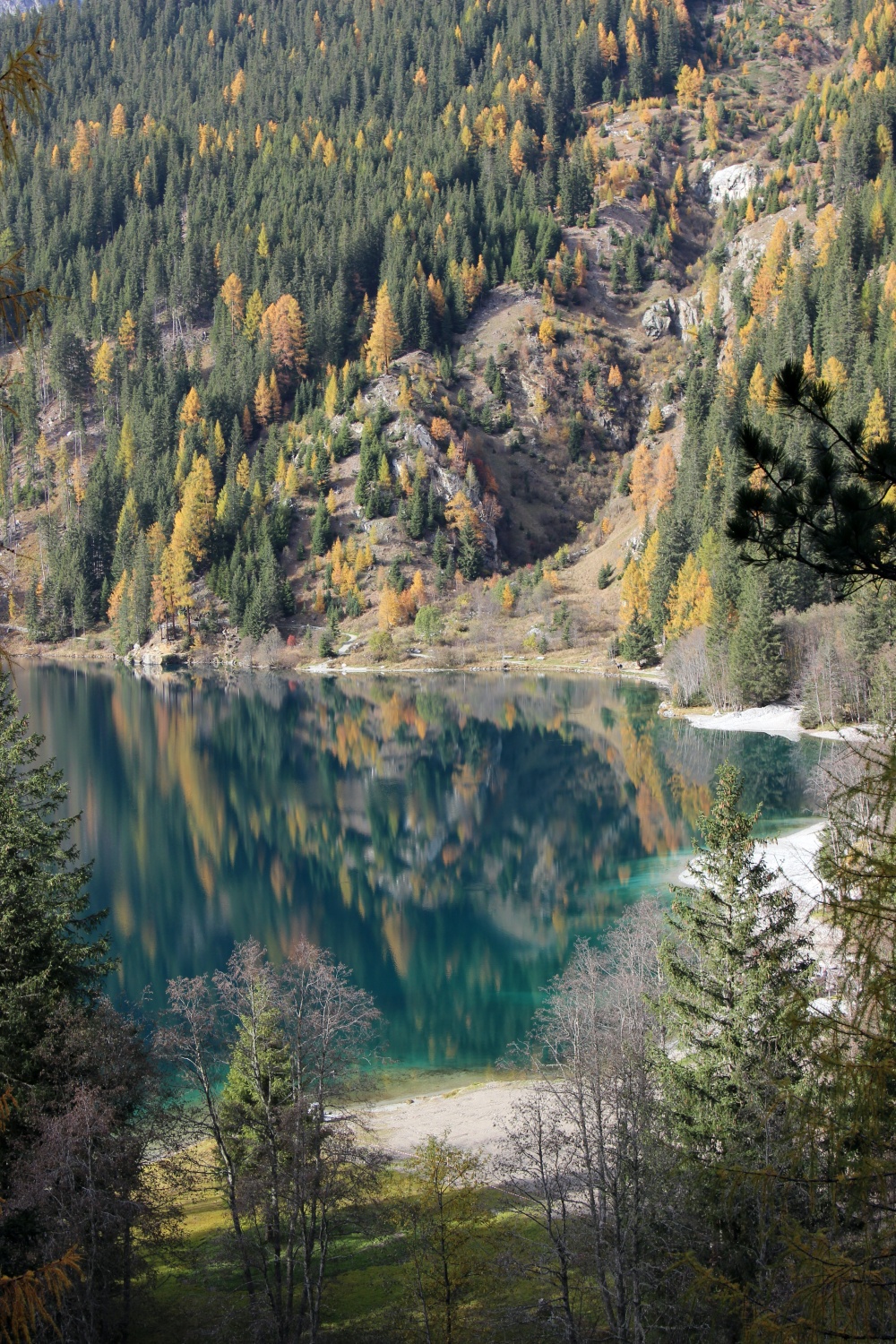 Antholzer See Herbst