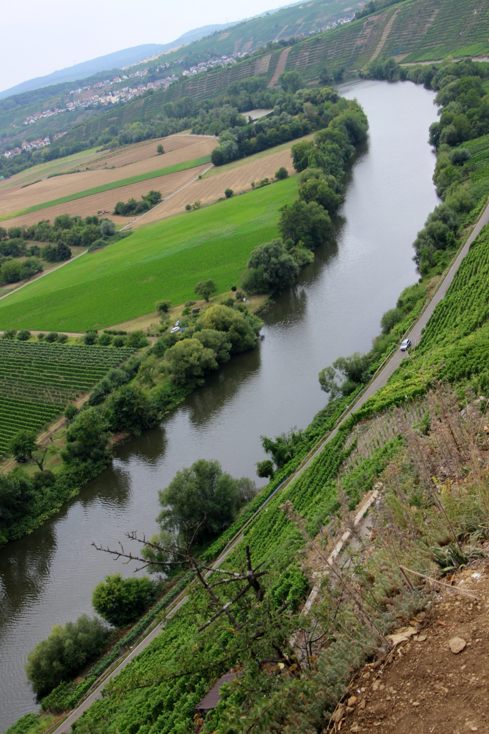 Wanderung Felsengärten Hessigheim Blick auf den Neckar