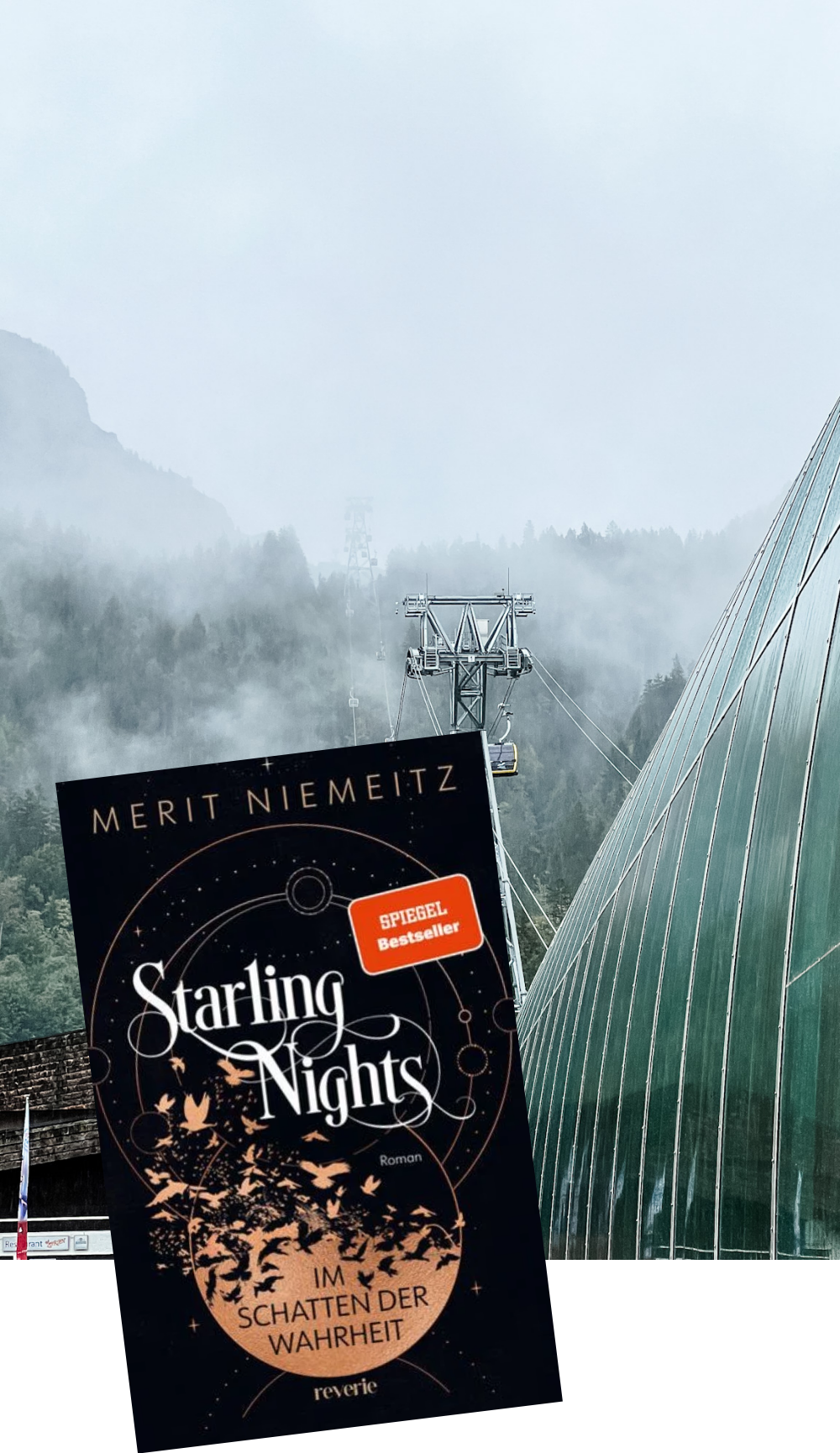 Starling Nights_Merit Niemeitz_Rezension