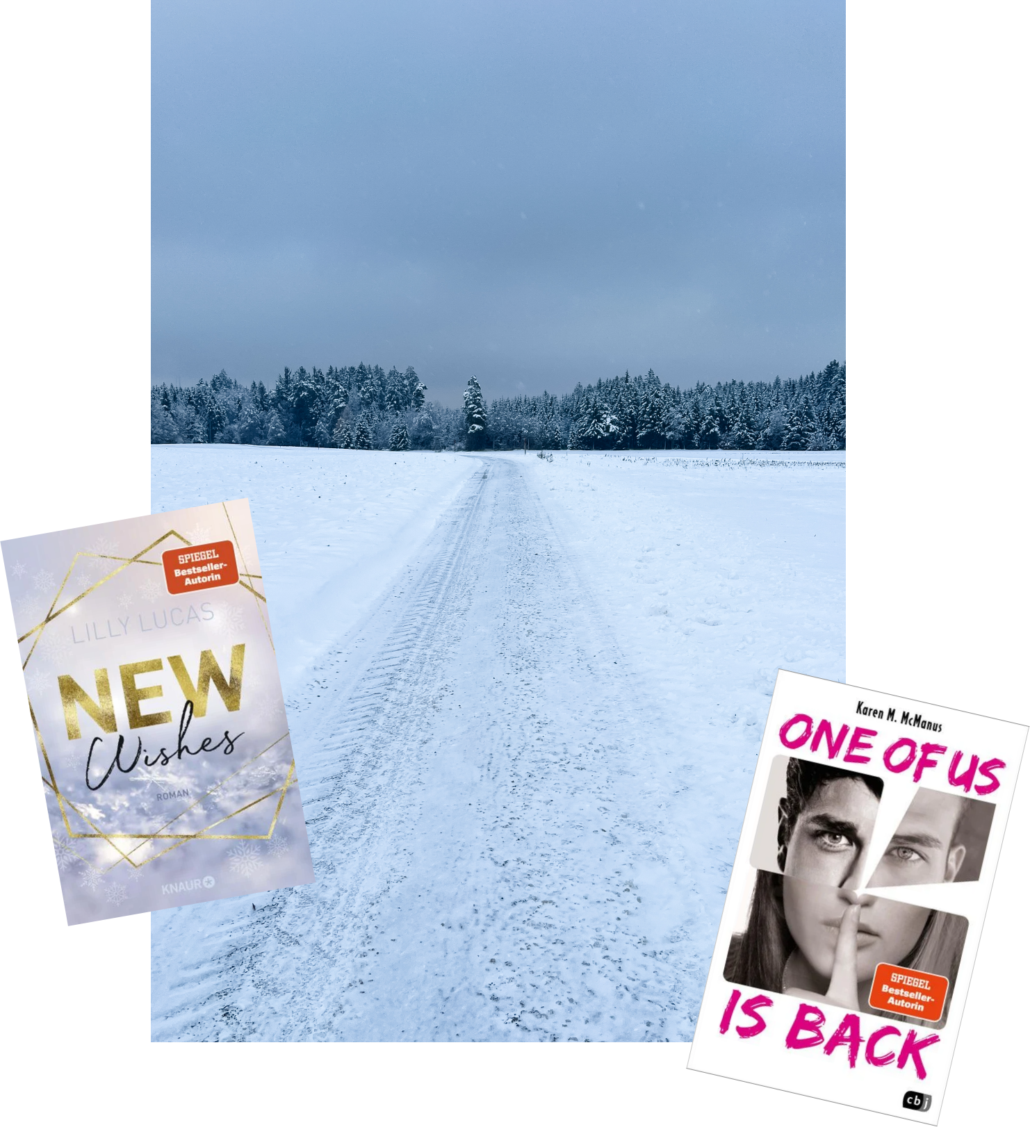 Lesemonat November 2023_Gute Bücher_New Wishes_One of Us Is Back