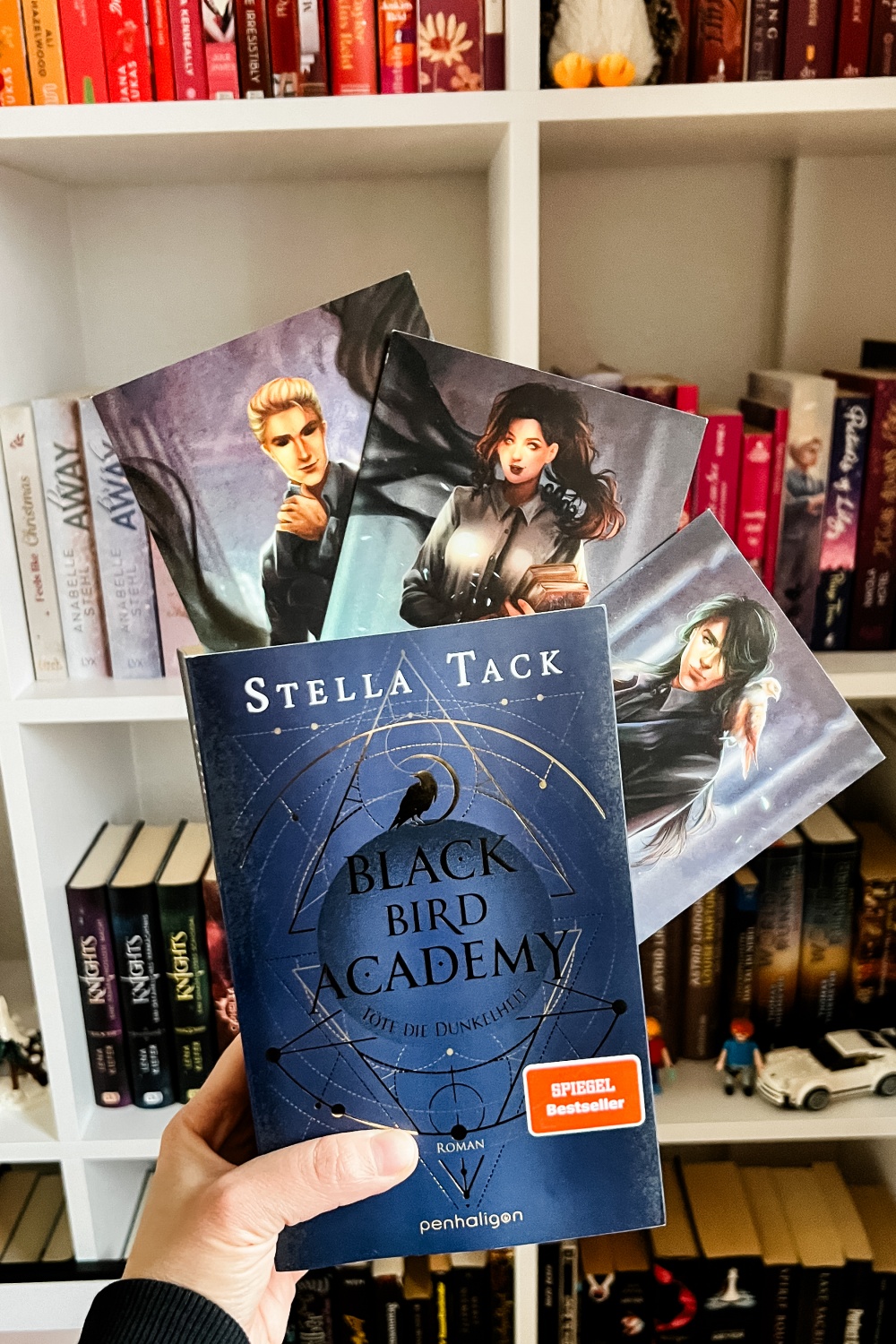 Lesemonat Januar 2024 Blackbird Academy von Stella Tack
