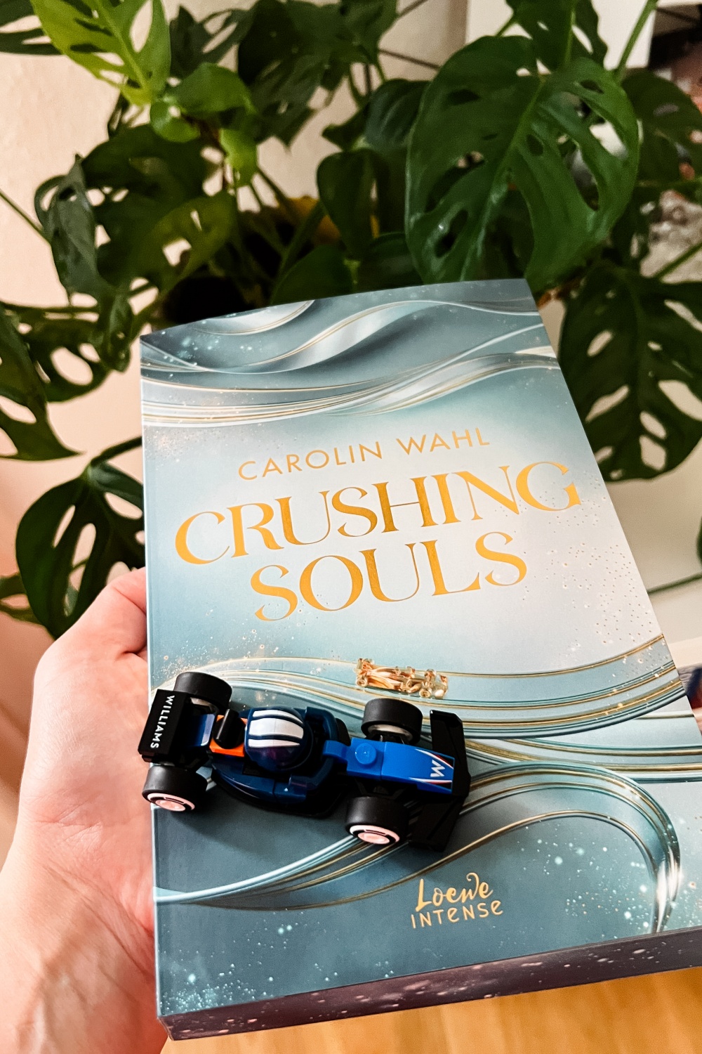 Crushing Souls_Carolin Wahl_Formel 1_Rezension