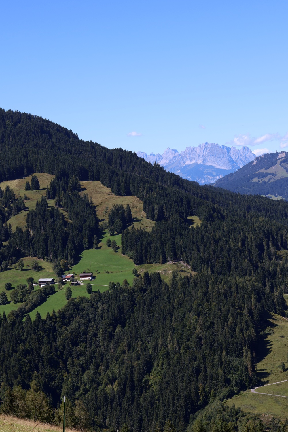 03_Leogang_Asitz_Blick ins Tal