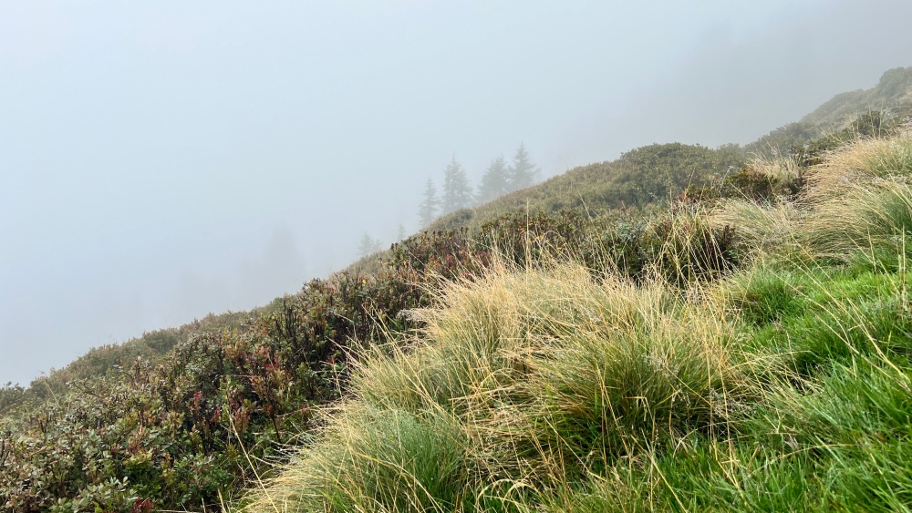 04_Asitz im Nebel