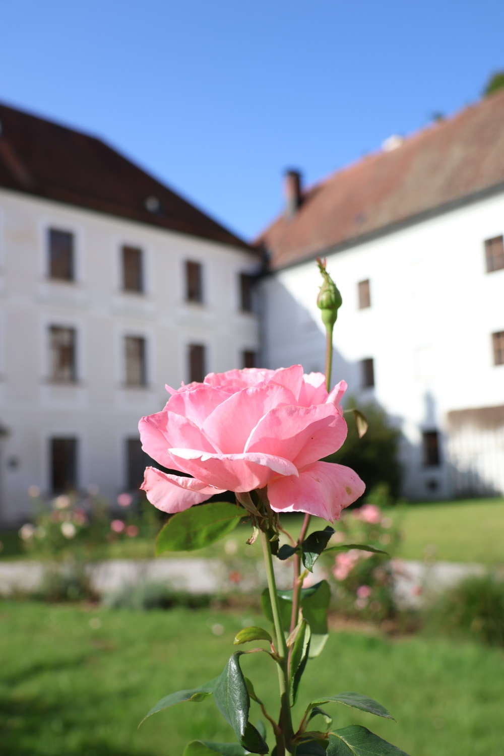 06_Chiemsee_Rosengarten-mit-Kloster_Herreninsel