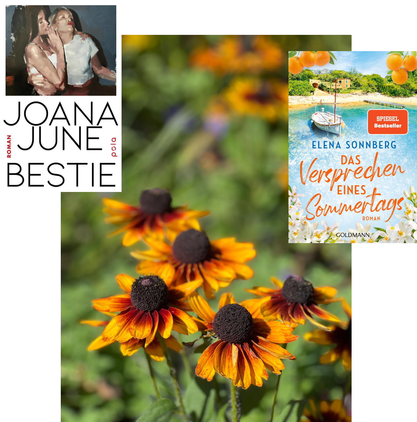 Lesemonat August 2025_Bestie_Das Versprechen eines Sommertags