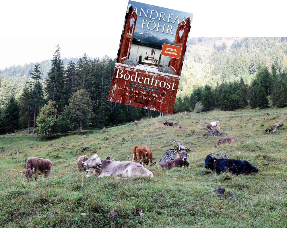 Bodenfrost_Der Tod ist manchmal nicht die beste Lösung_Andreas Föhr_Rezension