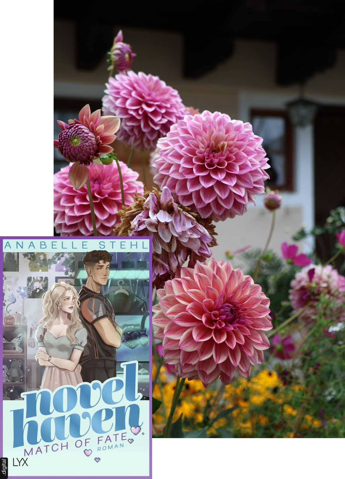 Novel Haven_Match of Fate_Anabelle Stehl