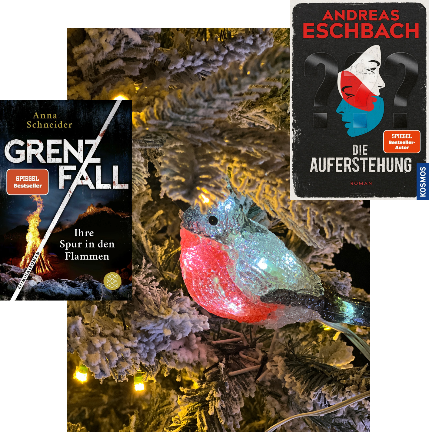 Lesemonat November 2025_Die Auferstehung_Andreas Eschbach_Grenzfall_Anna Schneider