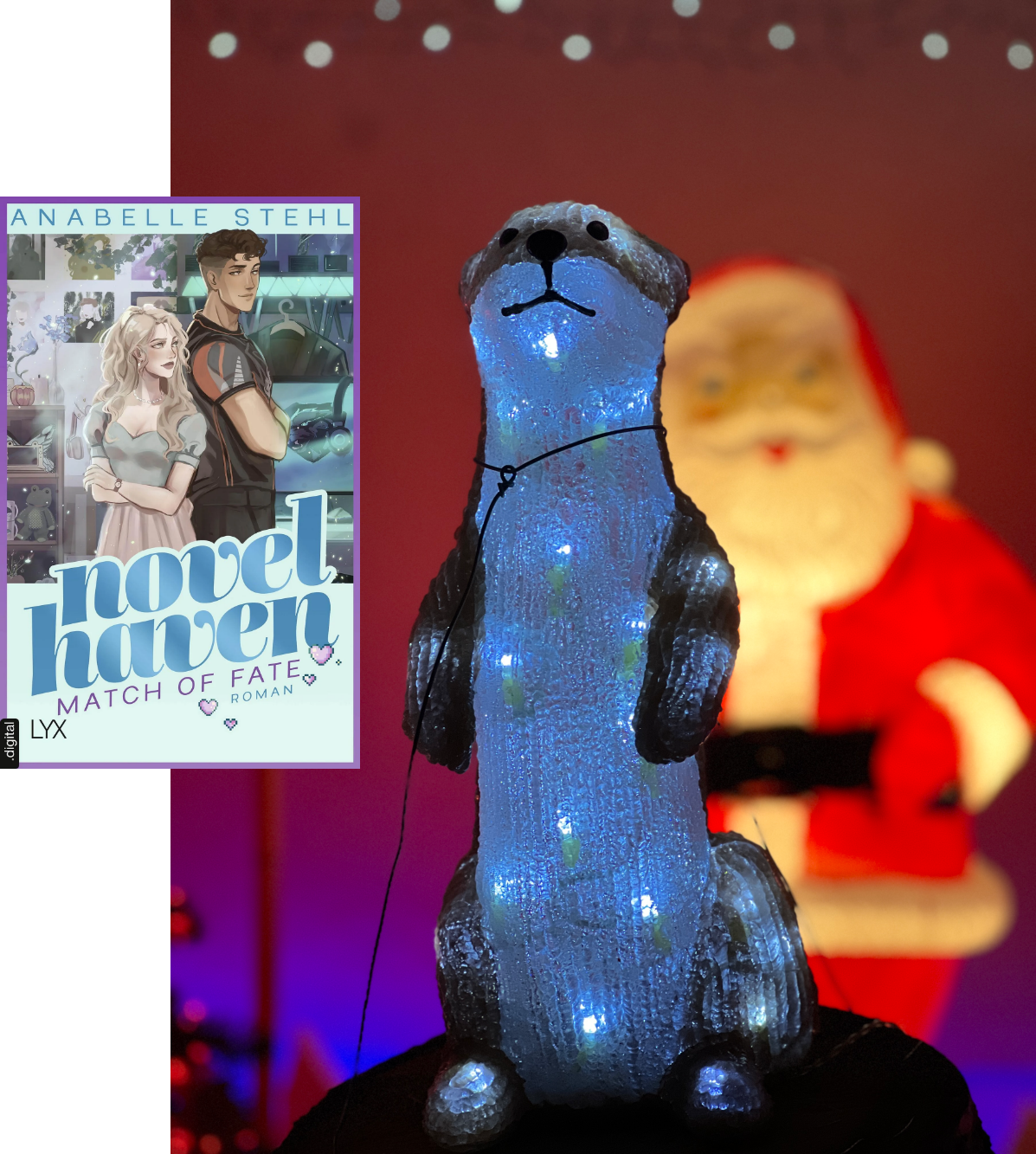 Lesemonat November 2025_Novel Haven_Match of Fate_Anabelle Stehl