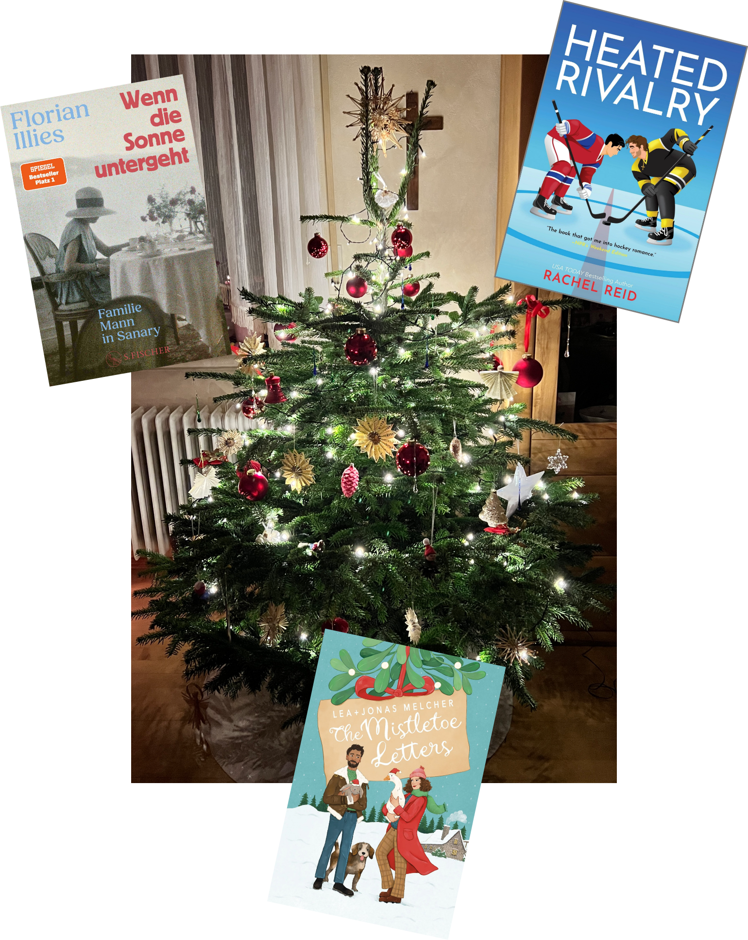 Lesemonat Dezember 2025_Wenn die Sonne untergeht_Heated Rivalry_The Mistletoe Letters