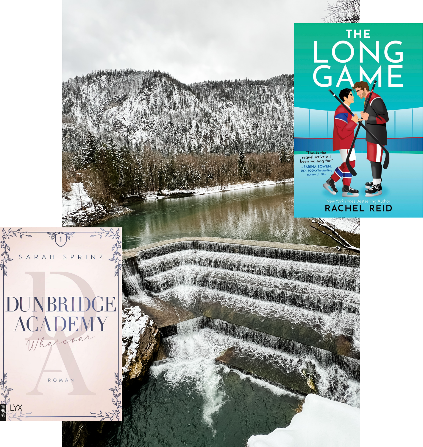 Lesemonat Februar 2026_Dunbridge Academy Wherever_The Long Game_Rachel Reid