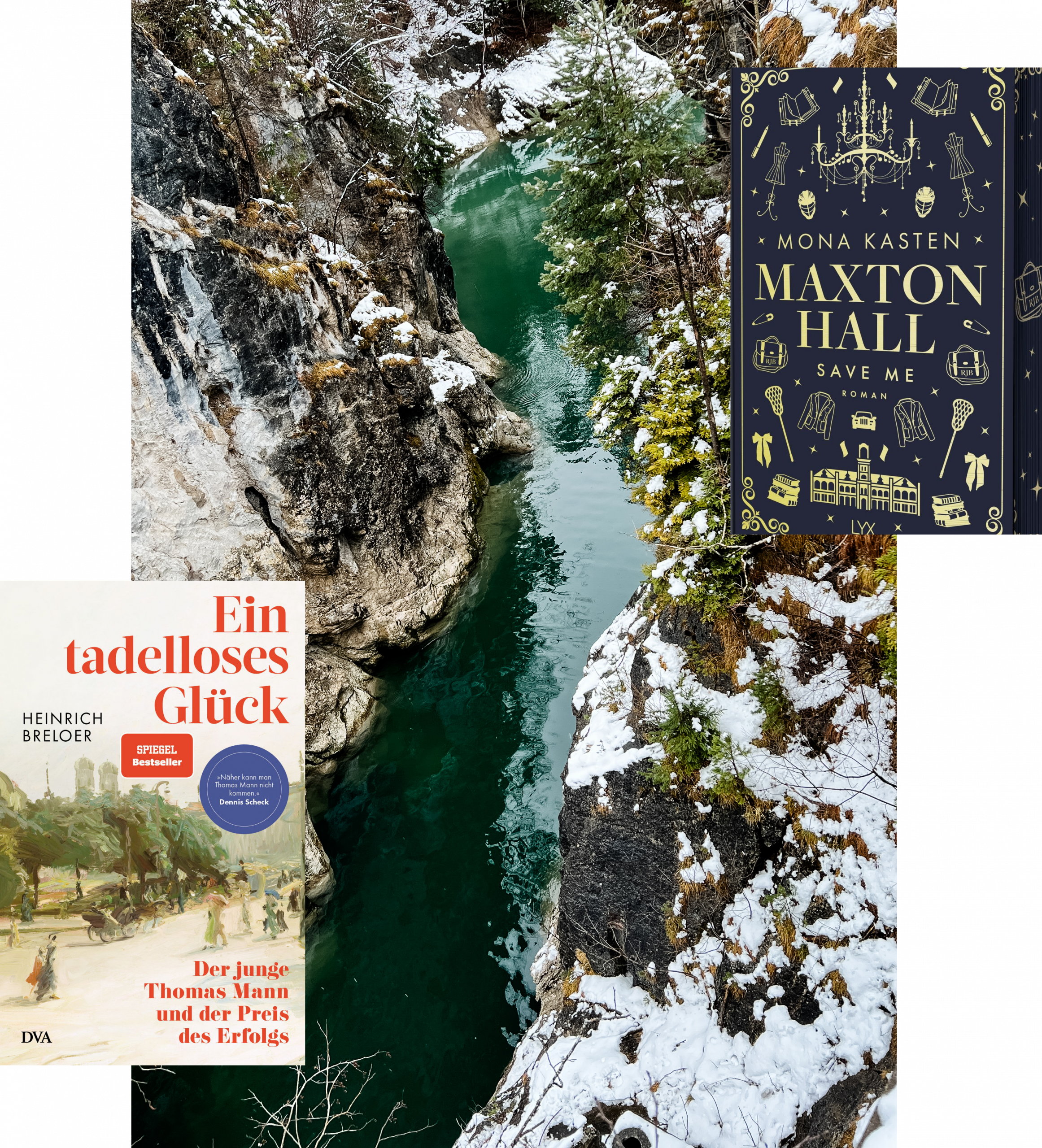 Lesemonat Februar 2026_Save Me_Mona Kasten_Ein tadelloses Glück_Thomas Mann