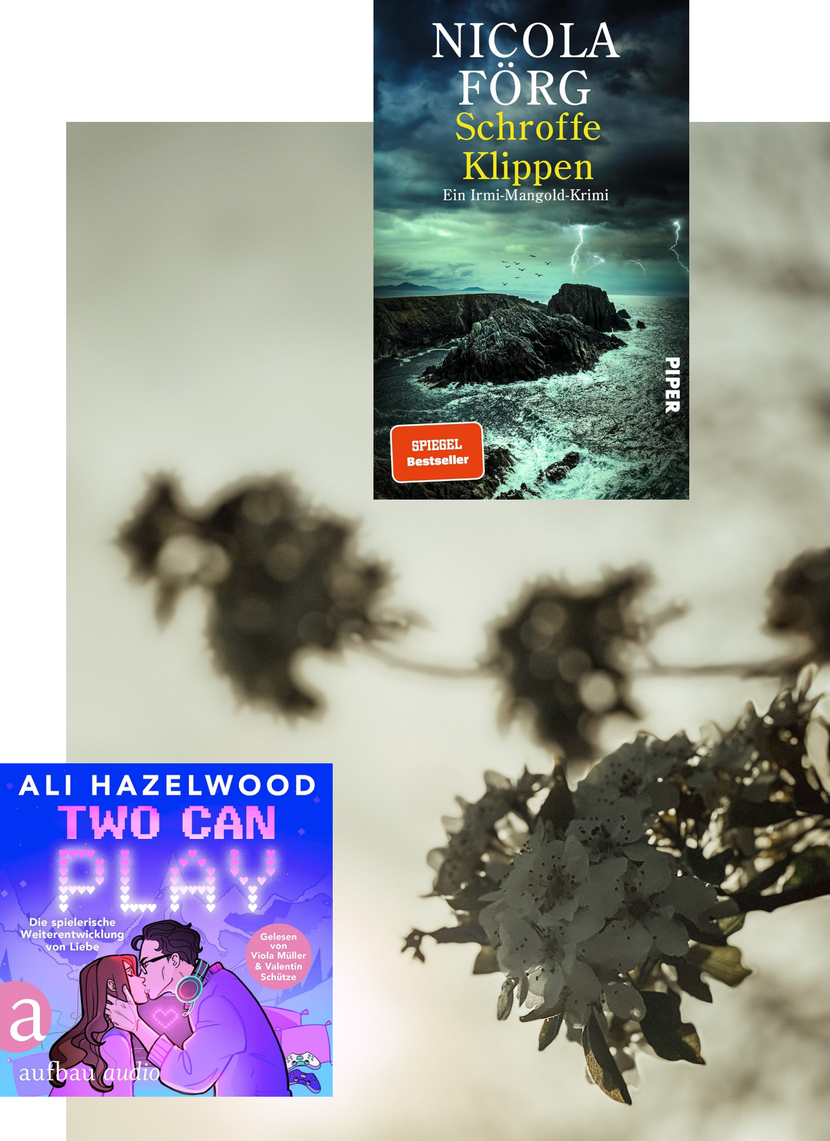 Lesemonat März 2026_Schroffe Klippen_Two Can Play