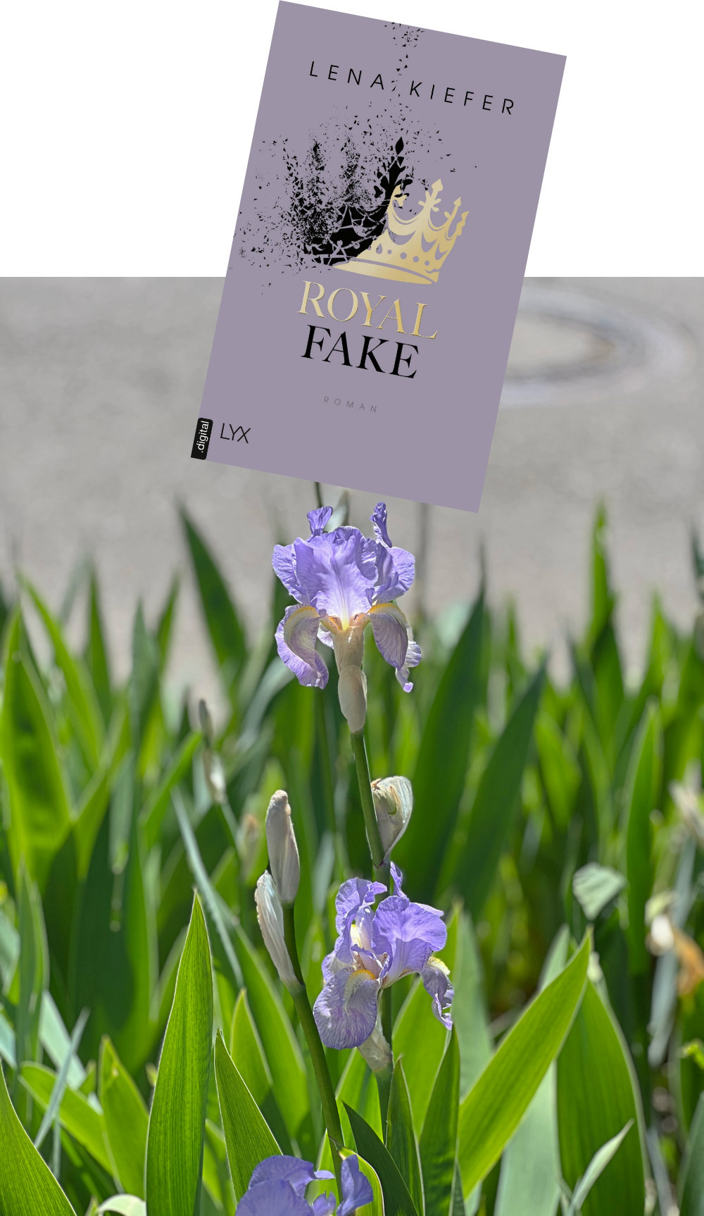 Royal Fake_Lena Kiefer_Rezension