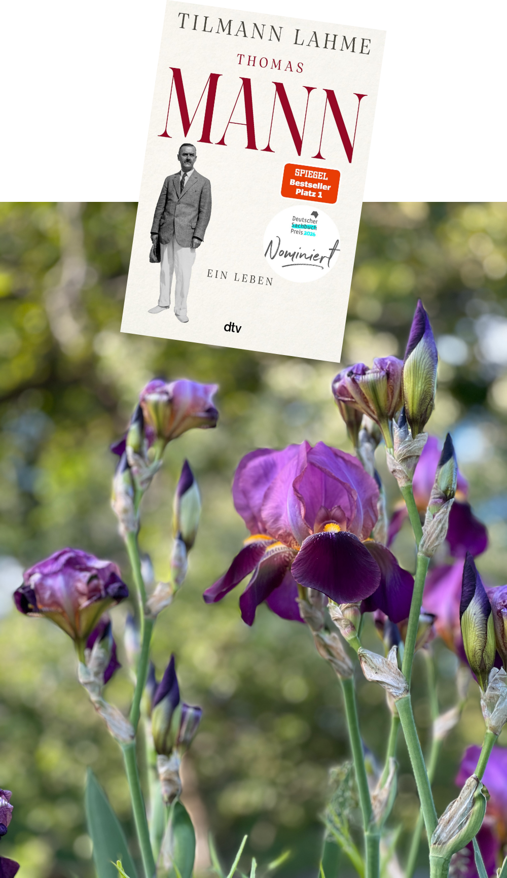 Thomas Mann_Ein Leben_Tilmann Lahme_Rezension